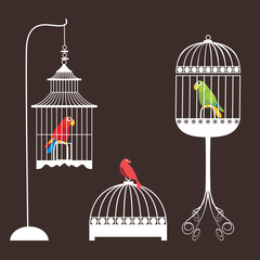 Ensemble de cage à oiseaux (ara)