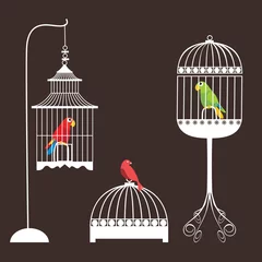 Crédence de cuisine en verre imprimé Oiseaux en cages Ensemble de cage à oiseaux (ara)