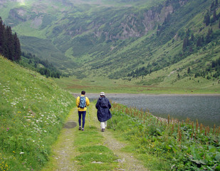 Fototapeta premium Rando montagne-8327