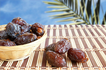 palm1