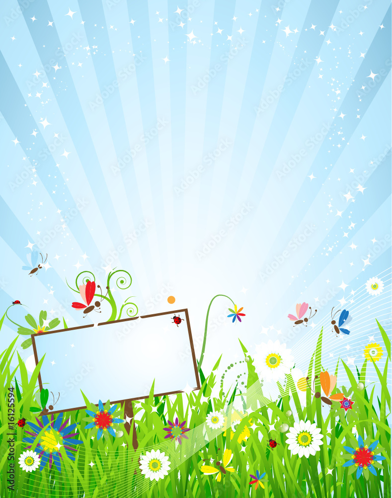 Wall mural summer meadow beautiful