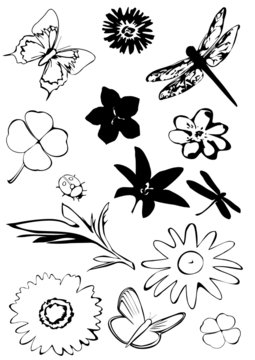 flowers and bugs