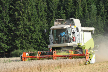 Mähdrescher auf Feld