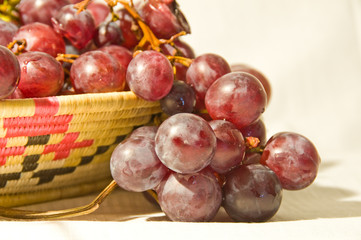 frutta