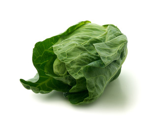 Obraz premium Cabbage