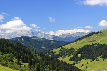Fototapeta na wymiar mountain with the green grass
