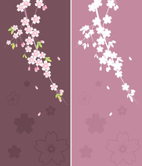 Naklejka na ściany i meble Floral Ornament - Sakura