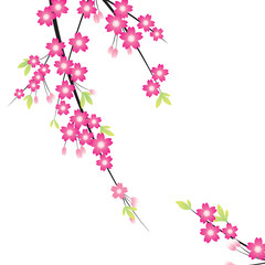 Floral Ornament - Sakura