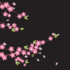 Floral Ornament - Sakura