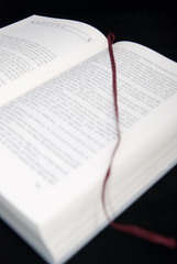 Obraz premium Open Book