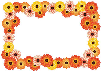frame of chrysanthemums