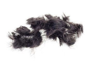 cheveux © RomainQuéré