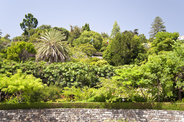 madeira