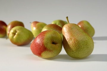 Babybirnen auf weiss