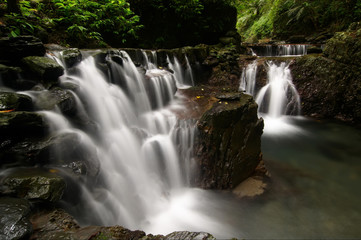 Fototapeta premium Forest stream