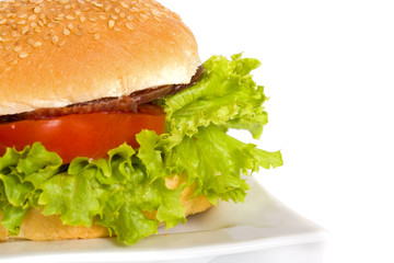 hamburger isolated on the white background