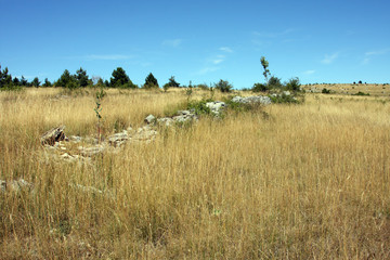 causse de sauveterre-loz&egrave;re
