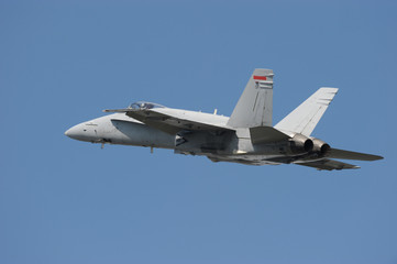 Fototapeta na wymiar F-18 Hornet military jet