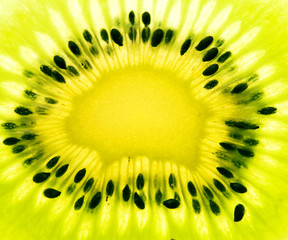macro photo of green kiwi