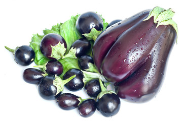 big and small aubergines