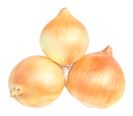 onion