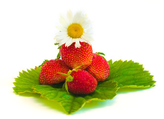 Strawberry and camomile