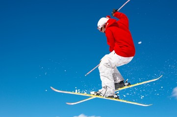 skier