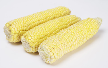Corn
