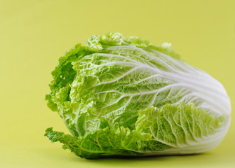 chinese cabbage or salad Romano