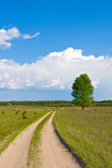 Rroad in steppe