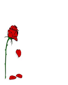 sad rose