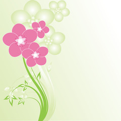 abstract floral background with place for your text