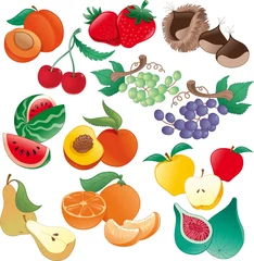Gordijnen Fruit - vector illustration © ddraw