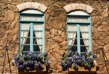 Windows and flowers