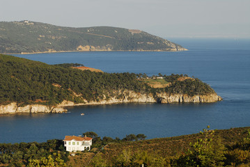 bosporus - coast - island
