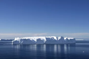 Tuinposter Iceberg in Antarctic waters © Gentoo Multimedia