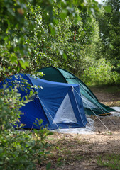 Camping Tents in the forest