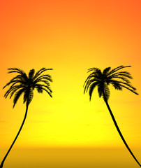 Two coconut trees with sunset view