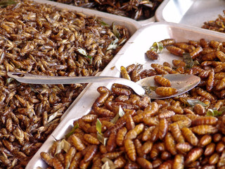 Obraz premium Thailand food stalls - fried insects nb.5