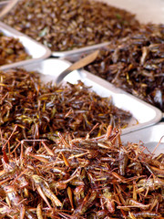Thailand food stalls - fried insects nb.14