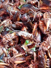 Thailand food stalls - fried insects nb.20