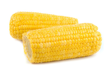 Ripe corn