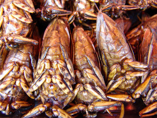 Thailand food stalls - fried insects nb.41