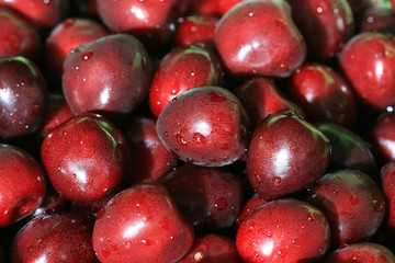 Ripe cherries