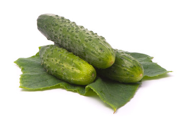 Fresh cucumbers with leaf. Macro shot. Studio white background