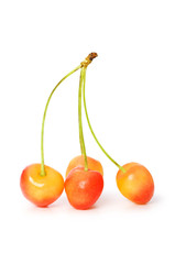 Cherries isolated on the white background