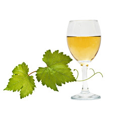 goblet with wine and vine