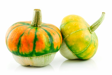 Ripe Gourds Vegetable Hybrid Isolated on White
