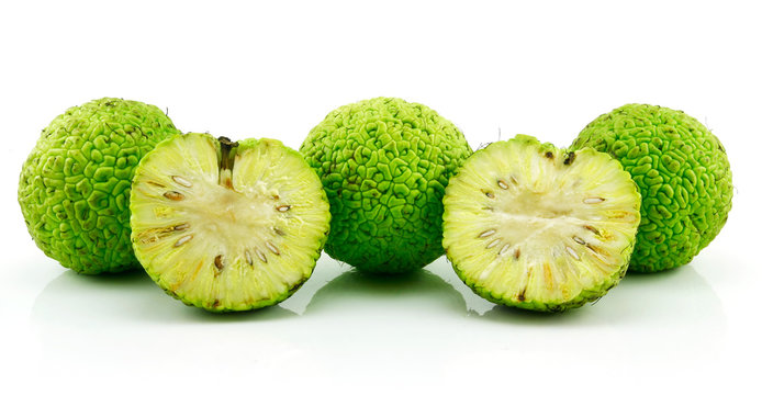Sliced Osage Oranges (Maclura) Isolated on White