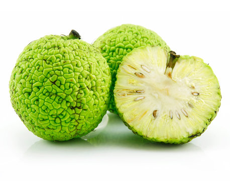 Sliced Osage Oranges (Maclura) Isolated on White